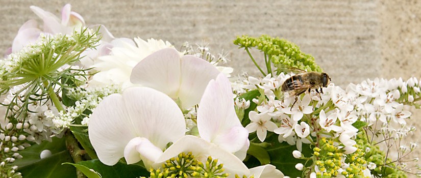 Blumen für das Fest