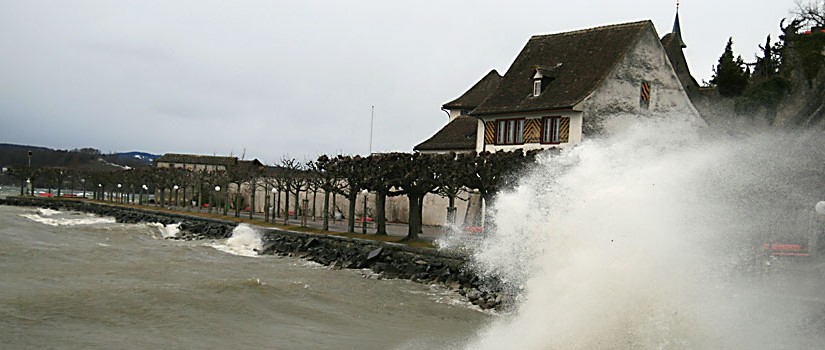 Wogen peitschen