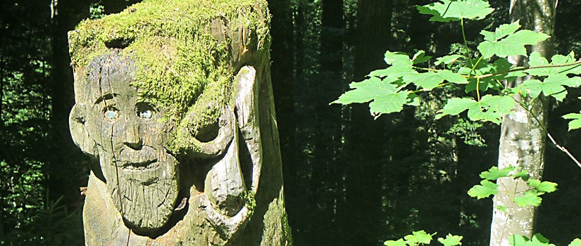 Wald-Gesicht