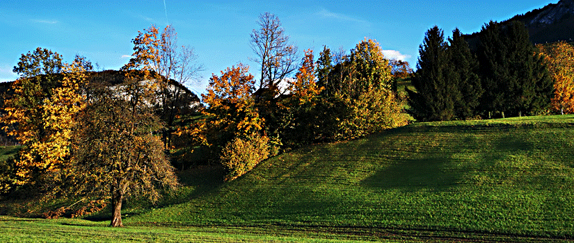 Abschied von Rapperswil